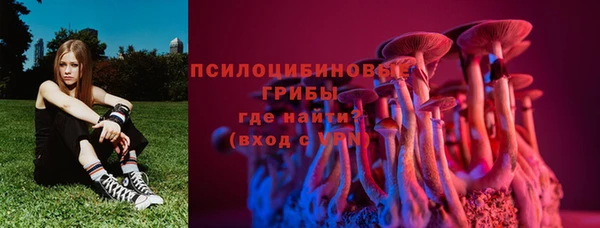 шишки Гусев