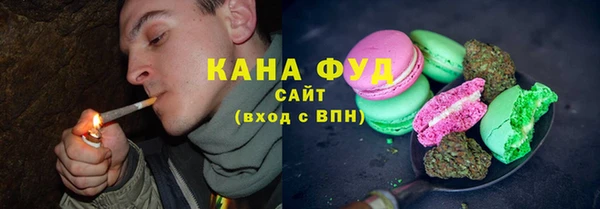 амф Горняк