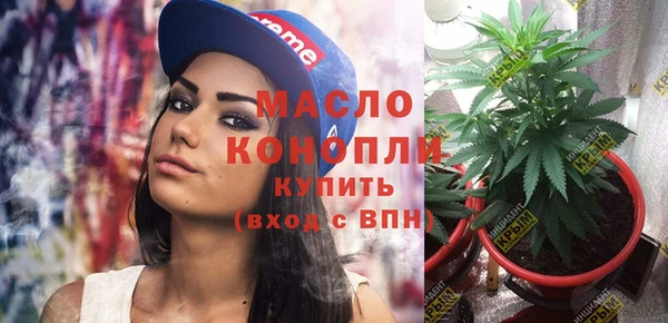 шишки Гусев